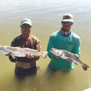 Meet your Posher, Holden